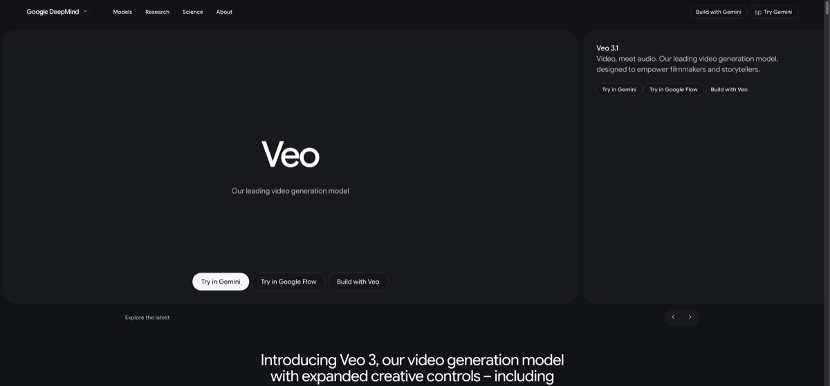 Screenshot of the official Veo website